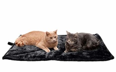 Furhaven Pet Dog Bed Heating Pad – ThermaNAP Quilted Faux Fur Insulated Thermal Self-Warming Pet Bed Pad for Dogs and Cats, Black, Large