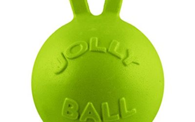 Jolly Pets Tug-n-Toss Heavy Duty Dog Toy Ball with Handle, 6 Inches/Medium, Apple Green