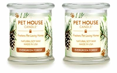 One Fur All 100% Natural Soy Wax Candle, 20 Fragrances – Pet Odor Eliminator, Up to 60 Hours Burn Time, Non-Toxic, Eco-Friendly Reusable Glass Jar Scented Candles – Evergreen Forest – Pack of 2