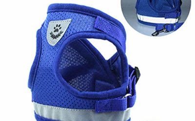 empty Pet Lovers Must-Have Pet Chest Harness Vest-Style Dog Leash Reflective Dog Rope,Blue,S