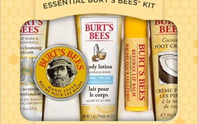 Burt's Bees Essential Gift Set, 5 Travel Size Products – Deep Cleansing Cream, Hand Salve, Body Lotion, Foot Cream and Lip Balm