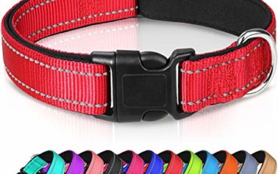 Joytale Reflective Dog Collar,Soft Neoprene Padded Breathable Nylon Pet Collar Adjustable for Large Dogs,Red,L