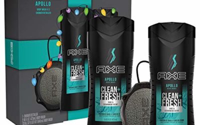 AXE Apollo Holiday Gift Set With Body Wash & Shower Detailer for Grooming 3 count, 16 ounce