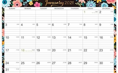 2021 Calendar – 12 Monthly Wall Calendar with Thick Paper, 14" x 11", Jan. 2021 – Dec. 2021, Twin-Wire Binding + Hanging Hook + Ruled Blocks with Julian Date, Horizontal – Black Floral