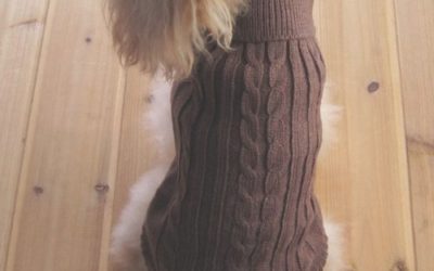 Tangpan Turtleneck Classic Straw-Rope Pet Dog Sweater Apparel (Blue,M)