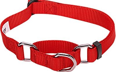 Blueberry Pet Essentials 19 Colors Safety Training Martingale Dog Collar, Rouge Red, Medium, Heavy Duty Nylon Adjustable Collars for Dogs
