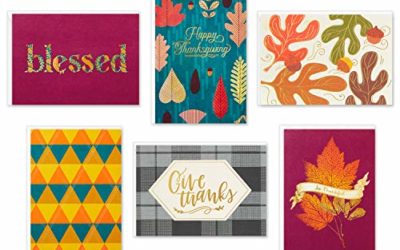 Hallmark Thanksgiving Cards Assortment, Give Thanks (24 Assorted Seasonal and Blank Cards with Envelopes)