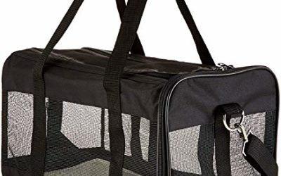 AmazonBasics Soft-Sided Mesh Pet Travel Carrier, Large (20 x 10 x 11 Inches), Black