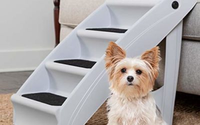 PetSafe Folding Pet Steps Grey – Large