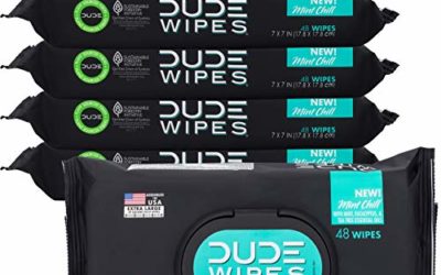 Dude Products Flushable Wet Wipes Dispenser, Mint Chill Scented (48 Wipes), 6 Count