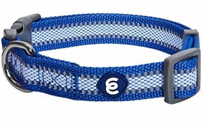 Blueberry Pet Essentials 2020 New Reflective Back to Basics Adjustable Dog Collar, Navy Blue, Large, Neck 18"-26"