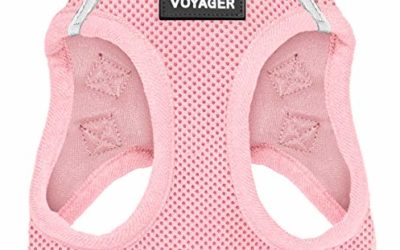 Voyager Step-in Air Dog Harness – All Weather Mesh, Step in Vest Harness for Small and Medium Dogs by Best Pet Supplies – Pink (Matching Trim), M (Chest: 16-18") (207T-PKW-M)