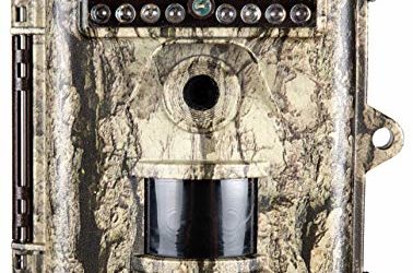 Bushnell Trophy Trail Camera 20MP HD_119717CW