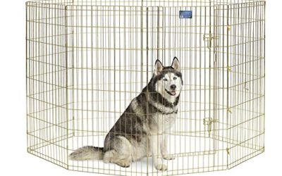 MidWest Homes for Pets Folding Metal Exercise Pen / Pet Playpen
