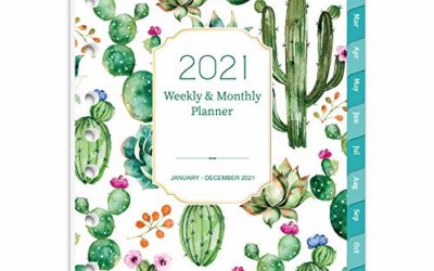 2021 Planner Refill – 2021 Weekly & Monthly Planner Refill, A5 Planner Inserts, 5-1/2" x 8-1/2", Jan 2021-Dec 2021, Loose Leaf Paper, Refill Paper 2021 with Eye-Catching Cover, 7-Hole Punched