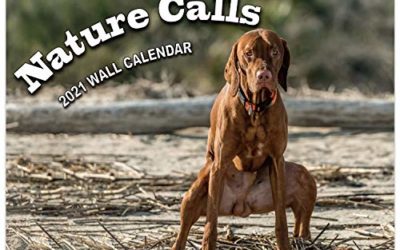 Gag Gifts – 2021 Calendar, Pooping Dogs Wall Calendar 2021 for White Elephant Gag Gifts, Jan 2021-Dec 2021, 11" x 17" (Open), 11" x 8.5"(Closed), Perfect 2021 Calendar for White Elephant Gifts Funny