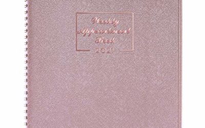 2021 Weekly Appointment Book & Planner – 2021 Daily Hourly Planner 8.4" x 10.6", Jan. 2021 – Dec. 2021, 15-Minute Interval, Flexible Soft Cover, Twin-Wire Binding, Lay – Flat, Rosy