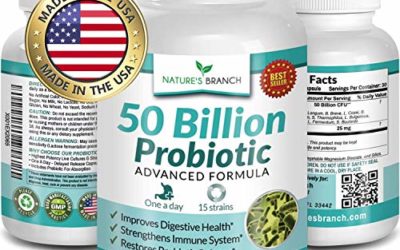 50 Billion Probiotics for Women, Probiotics for Men, Guaranteed 15 Strains with Prebiotics, One A Day Supplement Capsules with Lactobacillus Acidophilus, Renew Natural Mood, Shelf Stable – 30 Capsules
