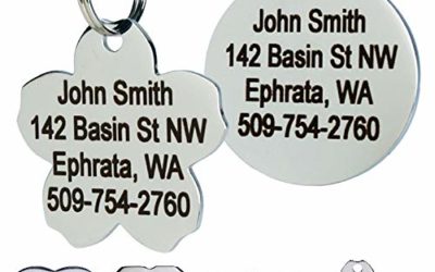 GoTags Stainless Steel Pet ID Tags, Personalized Dog Tags and Cat Tags, up to 8 Lines of Custom Text Engraved on Both Sides, in Bone, Round, Heart, Bow Tie, Flower, Star and More (Flower, Regular)