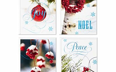 Image Arts Boxed Christmas Cards Assortment, Seasonal Photos (4 Designs, 24 Cards and Envelopes)