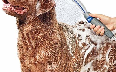 Waterpik PPR-252E Pet Wand Pro Shower Sprayer Attachment, 1.8 GPM, for Fast and Easy at Home Dog Cleaning, Blue/Grey