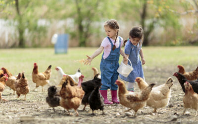 The Benefits of Raising Chickens in Your Backyard