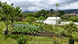 Visit a Family-Owned Organic Farm in Costa Rica