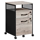 VASAGLE File Cabinet with Lock, Filing Cabinet with 2 Storage Drawers, for Hanging File Folders, Open Shelf, Home Office, Steel Frame, Industrial, Greige and Black UOFC077B02