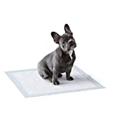 Amazon Basics Dog and Puppy Pads, Leak-proof 5-Layer Pee Pads with Quick-dry Surface for Potty Training, Regular (22 x 22 Inches) – Pack of 100