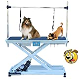 Hipet Electric Pet Grooming Table Professional X-Type Electric Lift for Large Dogs, with Anti-Static Anti-Slip Rubber Pad, 50”/ Black