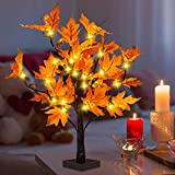 20-inch Fall Lighted Maple Tree with Acorns, 24 LED Lights, Battery Operated Thanksgiving Table Centerpieces Decoration Artificial Tree for Home Desktop Fireplace Autumn Harvest Tabletop Indoor Decor