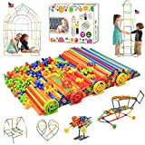 Haninsuze STEM Building Toys Sets 480pcs Interlocking Plastic Educational Toys Engineering Building Blocks, Safe Material Creativity Kids Toys, Straw Construction toys for 3-12 Year Old Boys and Girls