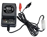 AMERICAN HUNTER 6V or 12V Battery Charger , Black