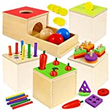 Montessori Toys for 1 2 Year Old, 5 in 1 Wooden Play Kit Includes Stacking Toys, Object Permanence Box, Coin Box, Carrot Harvest and Matchstick Color Drop Game, Fine Motor Skills Gifts for Babies