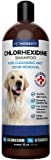 PetHonesty Chlorhexidine Shampoo – Ketoconazole & Aloe for Dogs & Cats – Helps Itching, Hot Spots, Ringworm, Pyoderma & Allergies, Sensitive Skin, Deodorizing Dog Shampoo, Dog Grooming Supplies – 16oz