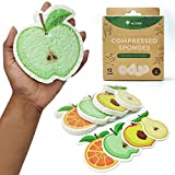 AIRNEX Biodegradable Cellulose Compressed Sponges – Pack of 12 Fruit Shaped Kitchen Sponges for Cleaning – Heavy Duty and Natural Household Cleaning Sponges Good for Kitchen, Bathroom, and Surfaces
