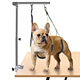 Petbobi Foldable Dog Grooming Arm, Dog Grooming Arm with Clamp, Dual No Sit Haunch Holder & Grooming Loop, Height Adjustable 22.1 to 38 inches, Strong Stainless Steel for Medium Small Pets, Silver