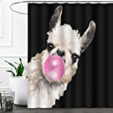 SDDSER Funny Alpaca Shower Curtain, Blowing Bubble Gum Comic Animal, Cloth Fabric Bathroom Decor Set with 12 Hooks 71×72 inch YLLSSD2767