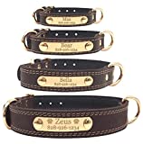 Personalized Dog Collar – Engraved Vegan Soft Leather – Custom Small Medium or Large Size with Name Plate (Medium, Brown)