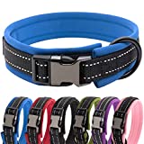 HSIGIO Nylon Padded Dog Collar Soft Adjustable Reflective Wide Pet Collars for Small Medium Large Dogs,Black/Blue,S