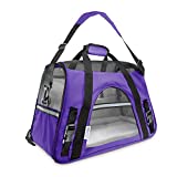 Paws & Pals Airline Approved Pet Carrier – Soft-Sided Carriers for Small Medium Cats and Dogs Air-Plane Travel On-Board Under Seat Carrying Bag with Fleece Bolster Bed for Kitten Cat Puppy Dog Taxi