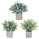 MISRTANY 3 Pack Mini Potted Artificial Eucalyptus Plants Fake Plants for Home Decor Office Desk Shower Farmhouse Room Decoration