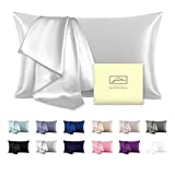 Natural Mulberry Silk Pillowcase for Hair and Skin Queen Size 20″X30″ Silk Pillow Case with Hidden Zipper Soft Breathable Smooth Cooling Silk Pillow Covers for Sleeping(Silver Grey,Queen,1Pcs)