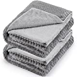 2 Pcs Gray Pet Blanket Flannel Double Layer Dog Cat Blanket Soft and Warm Fleece Blankets for Pets Puppy Kitten, Fluffy Cozy Cat Thick Throw Blanket for Couch Bed Sofa Travel Camping (24 x 32 Inch)