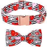Lionet Paws Valentines Dog Collar with Bowtie, Dog Bowtie Collar with Metal Buckle for Dogs, Adjustable Comfortable Dog Collar Girl Boy Gift Hearts, L, Neck 16-24 in