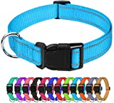 TagME Reflective Nylon Dog Collars, Adjustable Classic Dog Collar with Quick Release Buckle for Puppy, Sky Blue, 3/8″ Width