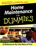 Home Maintenance for Dummies?