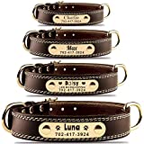 Personalized Dog Collar – Custom Leather Dog Collar with Engravable Nameplate – Durable Name Tag Collar – Customizable Dog Collar – Comfortable ID Collars for Small, Medium, Large Dogs (Medium)