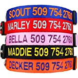 GoTags Personalized Dog Collar, Custom Embroidered Pet ID Dog Collar with Pet Name and Phone Number, Adjustable with Quick Release Snap Buckle