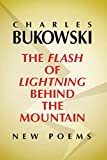 The Flash of Lightning Behind the Mountain: New Poems